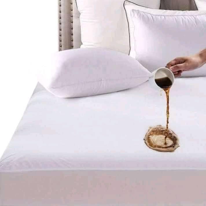 Queen Size Soft Cotton Terry Mattress Protector