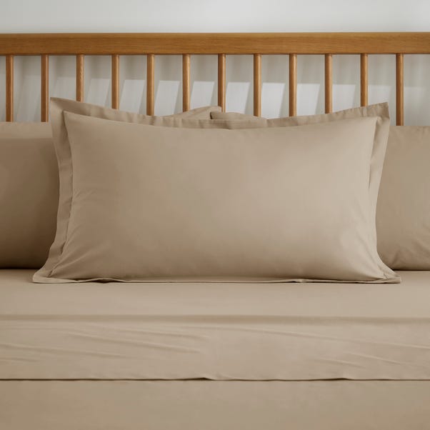 Taupe Brown Pure Cotton Flat Sheet